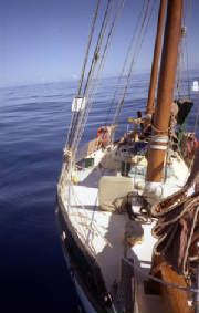 copy of becalmed.jpg